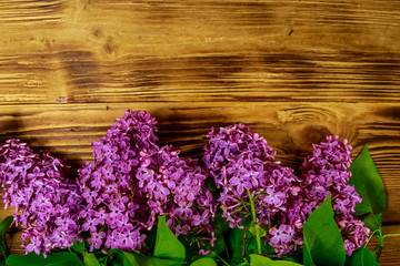 Purple lilac on wooden background. Top view, copy space