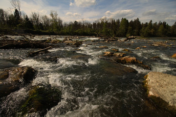 Wilde Isar, Stromschnellen bei Ismaning