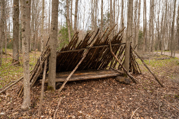 lean to in a forest - shelter from the weather