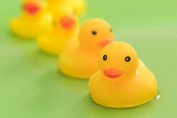 The toy duck in the bath