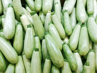 Zucchini Background