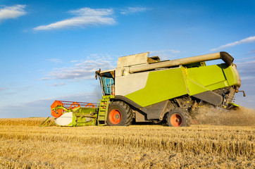 Obraz premium Combine harvesting in a field of golden wheat