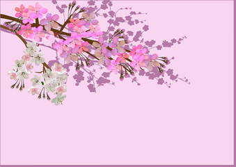 tree flower branches on light pink background
