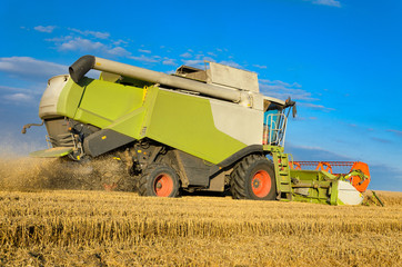 Combine harvesting in a field of golden wheat