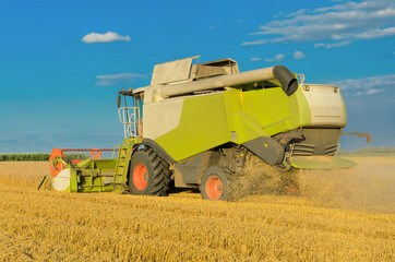 Obraz premium Combine harvesting in a field of golden wheat