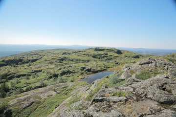 landscape tundra / summer landscape in the north tundra, moss, ecosystem