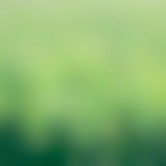 Green blurred background, abstract bokeh