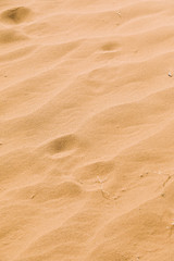Desert landscape in morocco