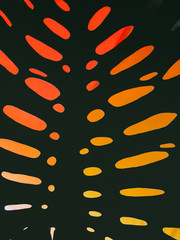 Backlit detail of the leaf of the tropical plant Monstera Deliciosa, also called rib of Adam