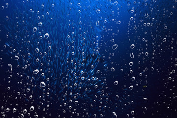 background underwater air bubbles reef / abstract sea background, diving, nature, ocean