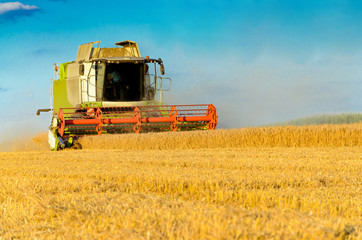 Combine harvesting in a field of golden wheat