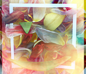 vintage tinted petals background / abstract spring background, summer flower petals in frame