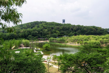 wolyeongji pond in seoul dream forest