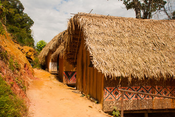 Large house covered with sape grass, Indigenous tribe village near Manaus, Amazonas State, Brazil