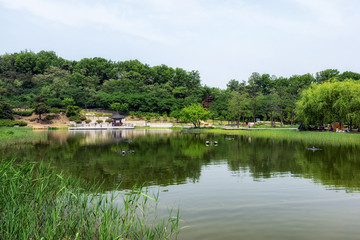 wolyeongji pond in seoul dream forest