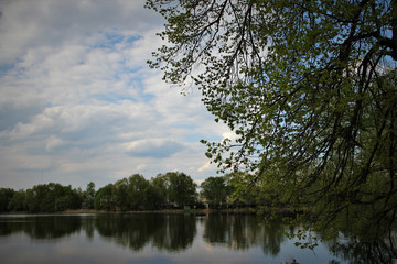 Fototapeta na wymiar Blue water in a forest lake. Forest Lake