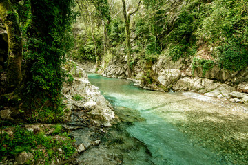 River in the forest with clear blue clear water rocks trees and greenery