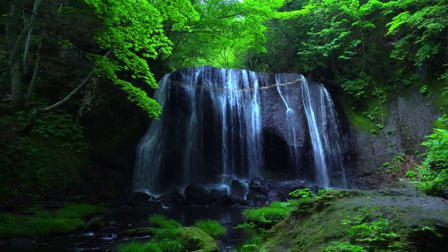 Waterfall / Tatsuzawa Fudo
