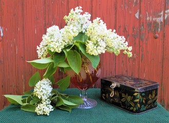 vase of white lilac flowers