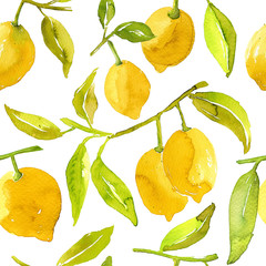 Summer Tropical Watercolor lemon seamless pattern. Hand drawn lemons branch on white background