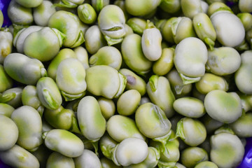  broad bean,  natural and healthy food