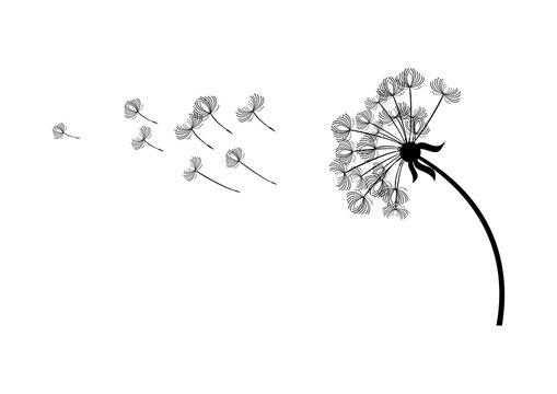 Dandelion in the wind vector. Dandelion silhouette vector. Black dandelion isolated on a white background