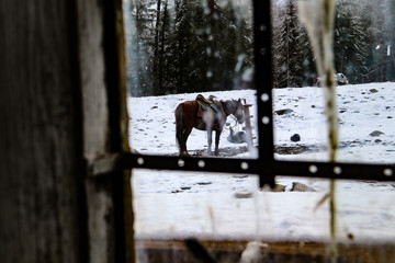 Раннее весеннее утро