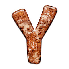 Gingerbread cookie with icing alphabet letter. 3d tasty letter Y, isolated on white background.