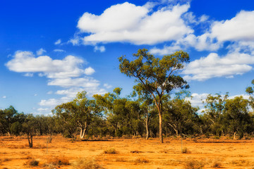 Fototapeta na wymiar Outback From moving car