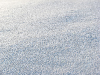 Winter season. A field is totally covered with snow..