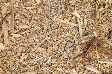 wooden and lumber sawdust