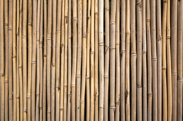 yellow bamboo wall background