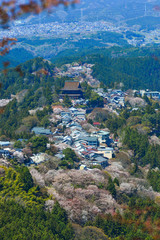 Fototapeta na wymiar Yoshino Mountain covered by cherry trees