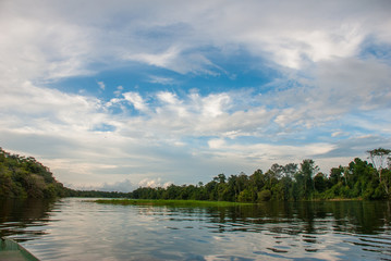 Sailing down river amidst the Amazon Jungle. Amazon river, Manaus, Amazonas, Brazil.