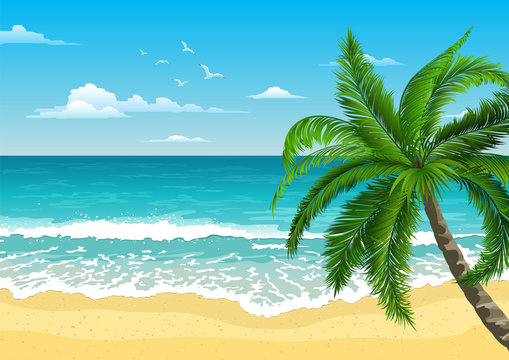 Exotic tropical  landscape with  palm. Seascape with waves, cloudy sky and seagulls.  Tourism and travelling. Vector flat design