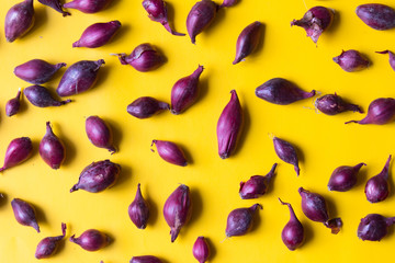 Purple onions for planting on  yellow background. Top view.