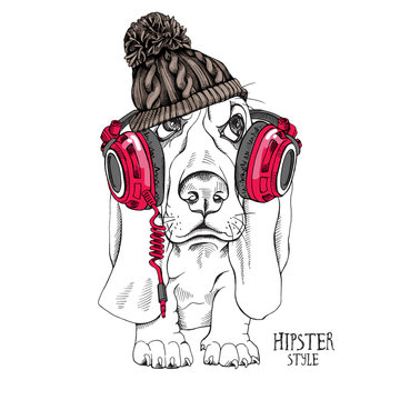Puppy Basset Hound in a Knitted hipster hat with pom-pom and in a red headphones. Vector illustration.