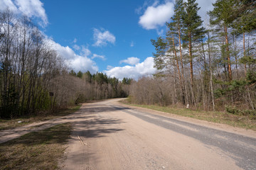 road in the forest and blue sky