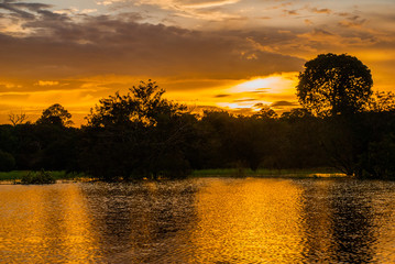 Beautiful sunset landscape overlooking the river and the Amazon jungle. Manaus, Amazonas, Brazil