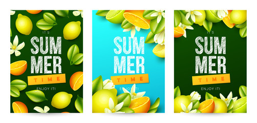 Summer background with fruits. Vector illustration