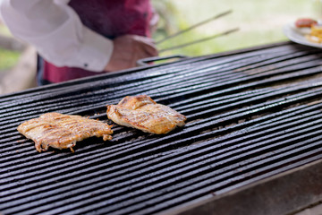 Barbecue, Chicken Breast, Chicken Meat