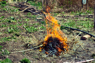bonfire in the garden cleaning in the spring garden