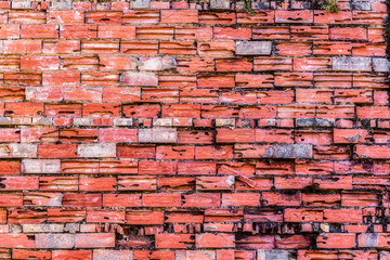 Beautiful close up with grunge brick wall texture