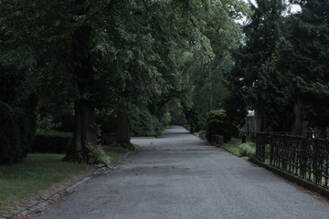 alley in the park