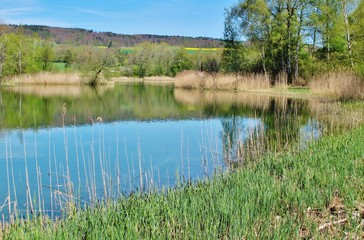 Frühling am See