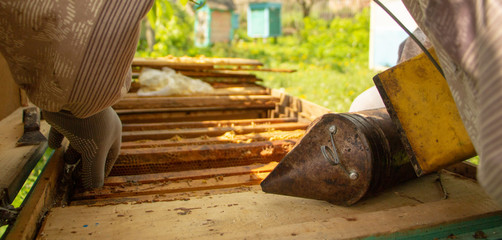 The beekeeper treats the hive with smoke to calm the bees before work Selective focus