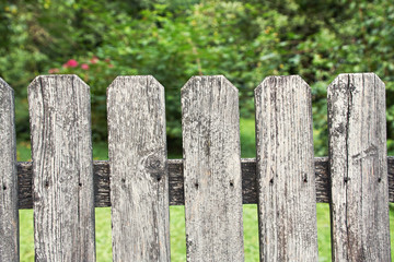 Naklejka premium Old faded village wooden fence in a summer garden.