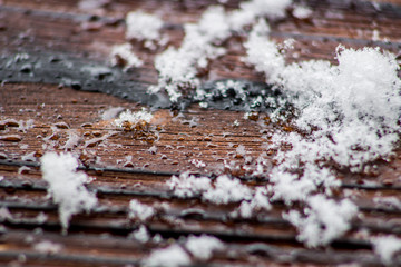 Melting snow on a dark background of wood closeup