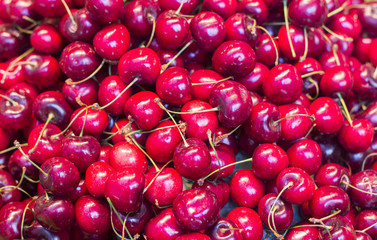 Pile of ripe red fresh cherries as background