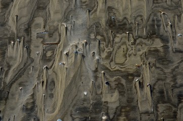 Strand_Ebbe_SPO